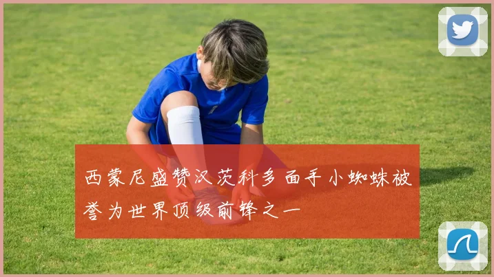 西蒙尼盛赞汉茨科多面手小蜘蛛被誉为世界顶级前锋之一