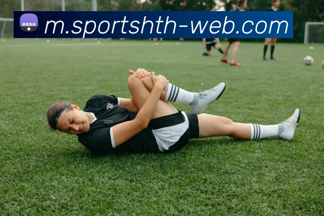 华体会体育APP 封面图